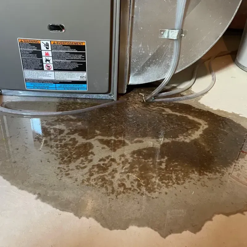 Appliance Leak Cleanup in Key West, FL